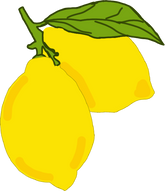 Lemon Hand Drawn Illustration